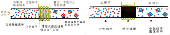 电子水除垢仪